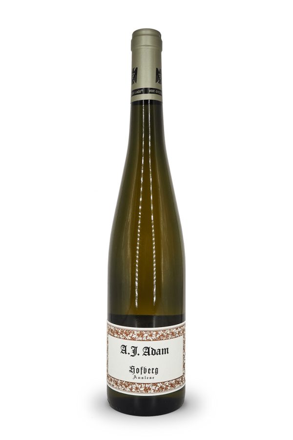 Leckerer Weißwein Pinot Blanc von A.J. Adam Hofberg Auslese GK von der Mosel