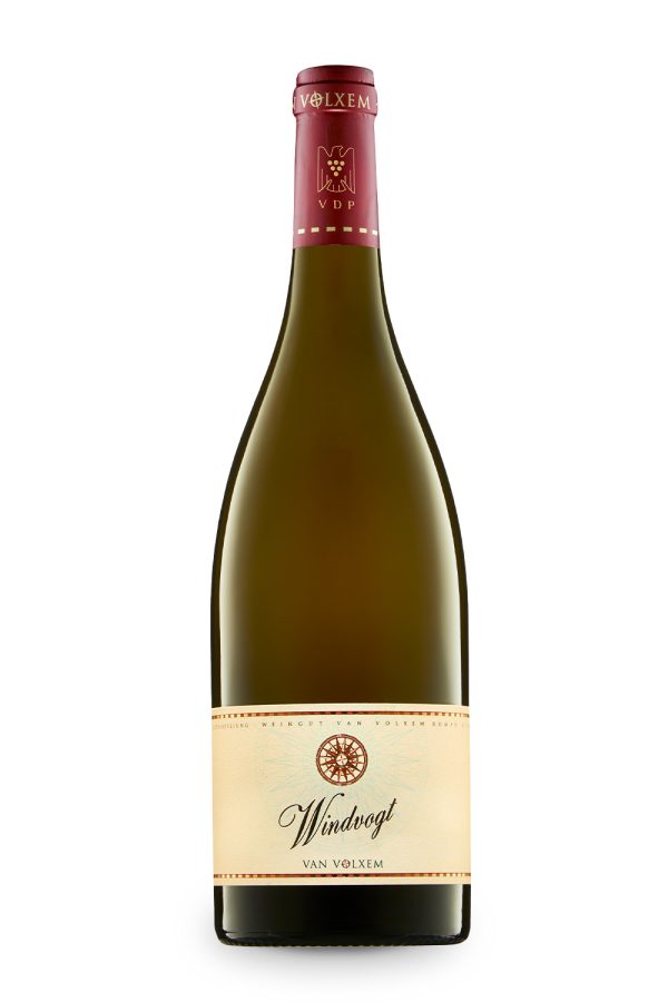 Leckerer Chardonnay vom Weingut Van Volxem Chardonnay Windvogt 2020 von der Saar